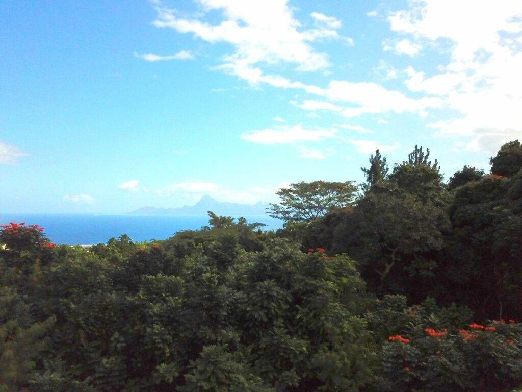 Vente Appartement F3 à Punaauia