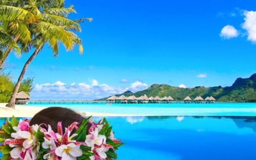 Programme Neuf Appartement F4 à Bora-Bora
