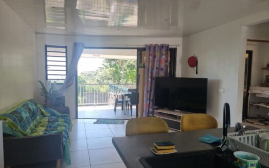 Vente Maison F3 à Faaa