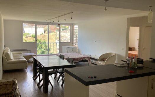 Vente Appartement F3 à Tipaerui