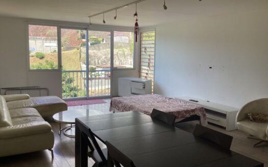 Vente Appartement F3 à Tipaerui