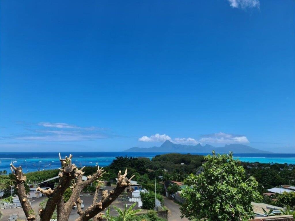 Vente Appartement F3 à Punaauia