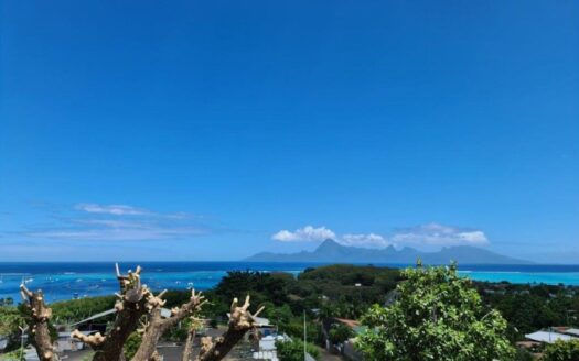 Vente Appartement F3 à Punaauia