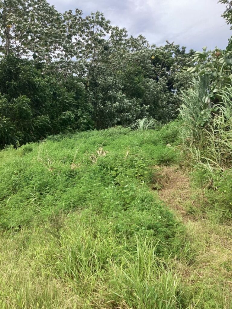 Vente Terrain à Taravao