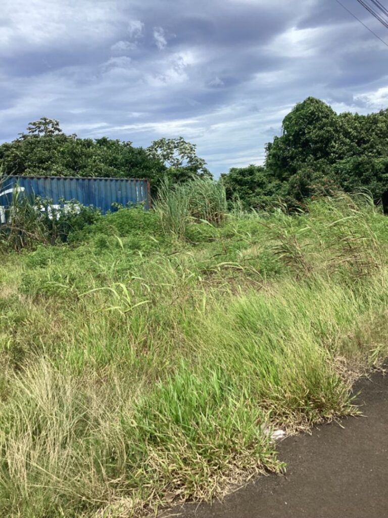 Vente Terrain à Taravao