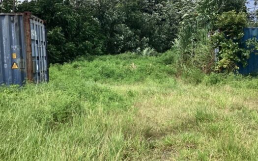 Vente Terrain à Taravao