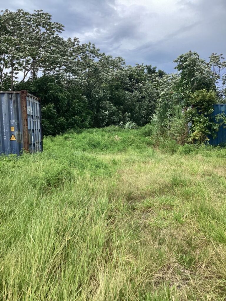 Vente Terrain à Taravao
