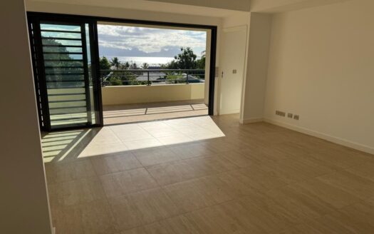 Location Appartement F4 à Punaauia
