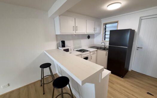 Location Appartement F2 à Mahina