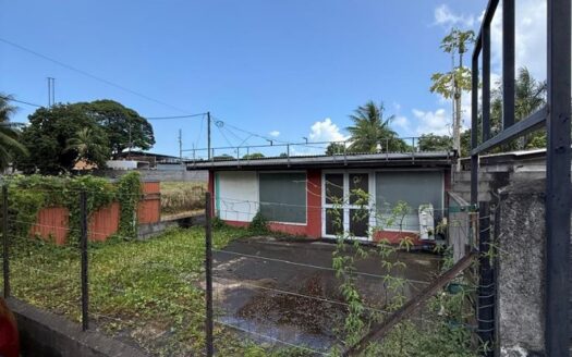 Vente Immobilier d&rsquo;entreprise (Local commercial) à Pirae