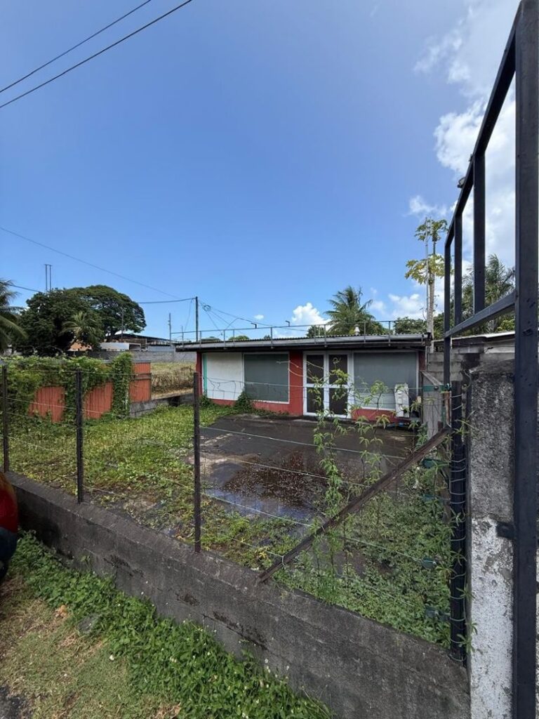 Vente Immobilier d'entreprise (Local commercial) à Pirae