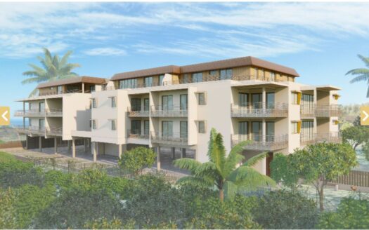 Vente Appartement F5 à Punaauia