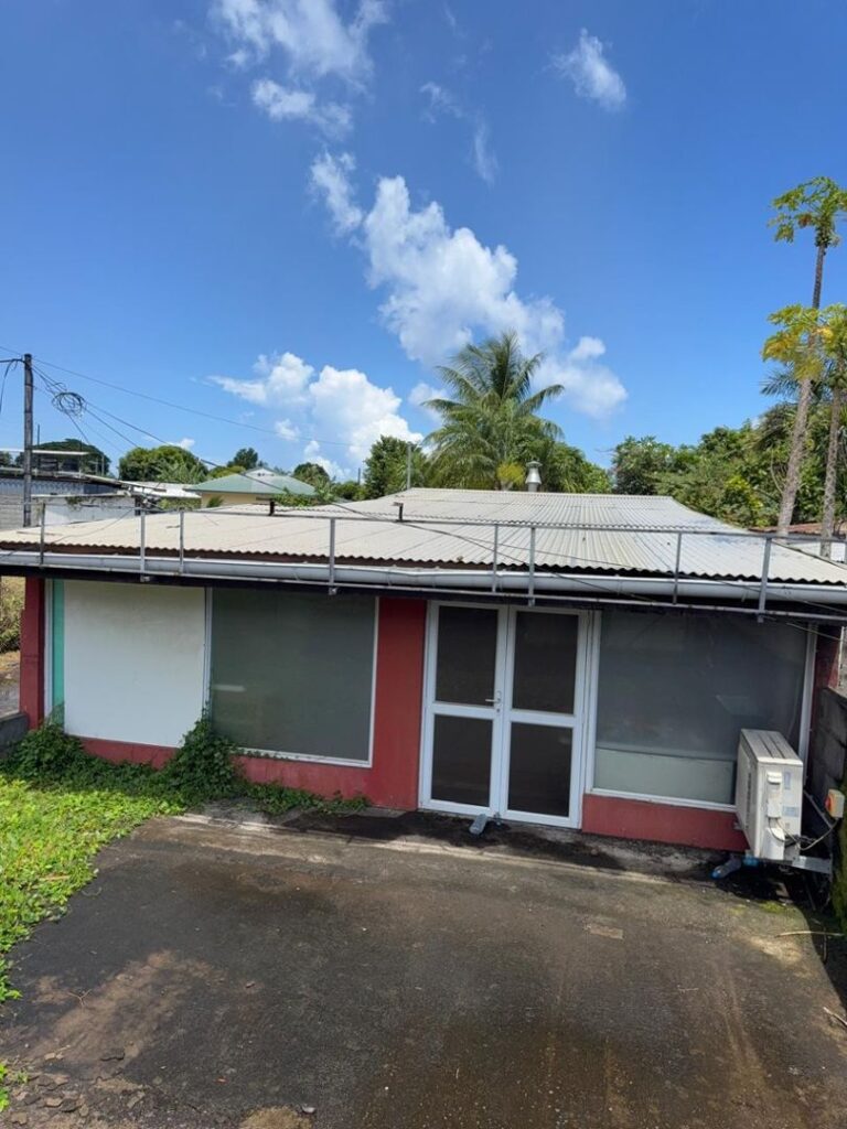 Vente Immobilier d'entreprise (Local commercial) à Pirae