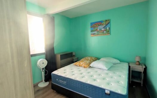 Location Appartement F2 à Faaa