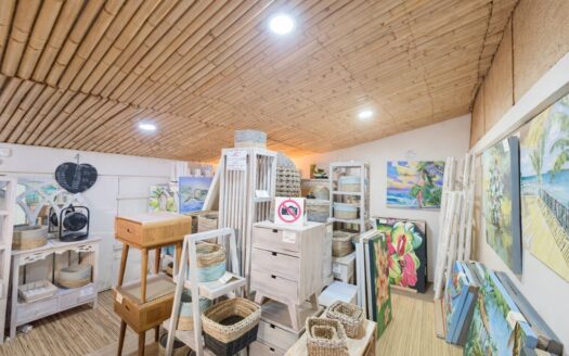 Vente Immobilier d&rsquo;entreprise (Local commercial) à Papeete