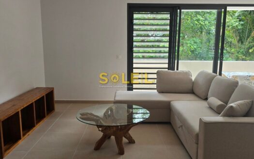Location meublée Appartement F3 à Punaauia