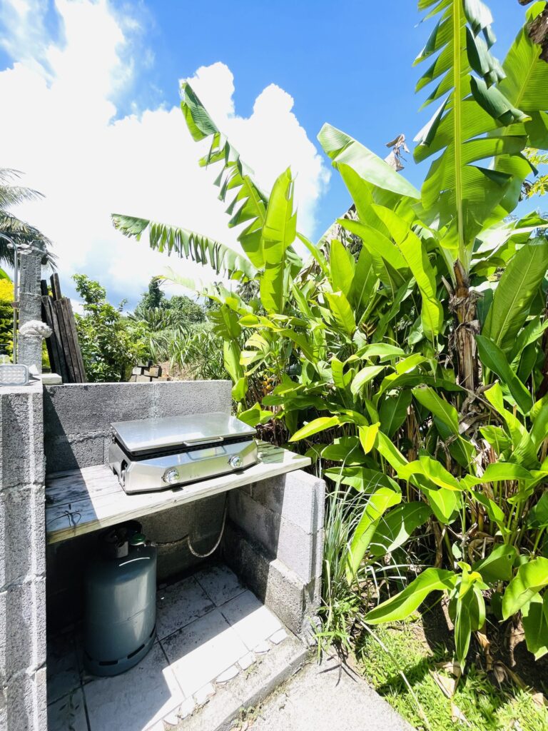 Le studio AOMA – Appartement Studio à Taiarapu-Est